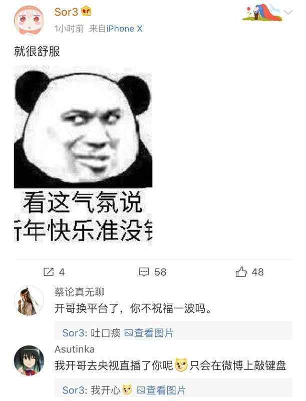 predecesor什么意思啊的简单介绍