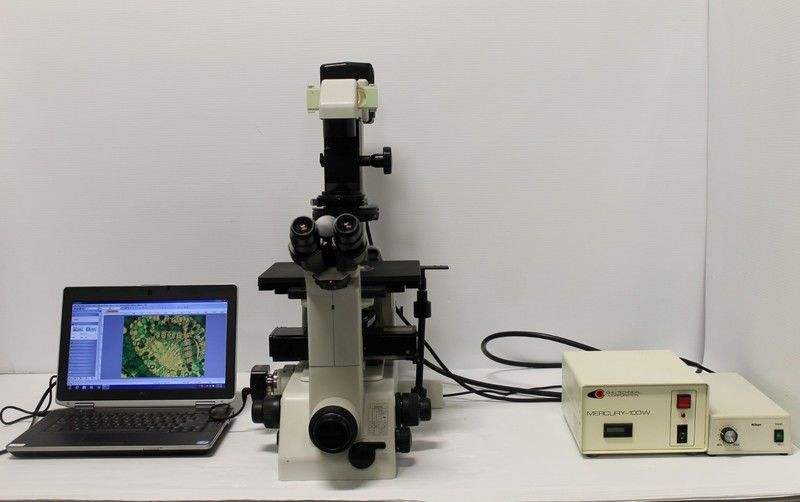 [microscope]microscope显微镜