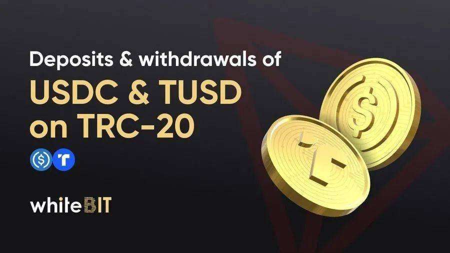 支持trc20的钱包有哪些[支持trc20的钱包有哪些功能]