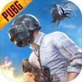 pubg手游下载教程[pubg手游下载教程视频]