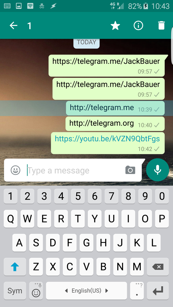关于Telegram聊天中文版的信息