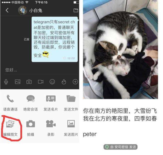 关于telegraph怎么注册不了的信息