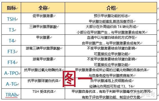 TG在生化上是什么意思_生化是什么意思有什么症状