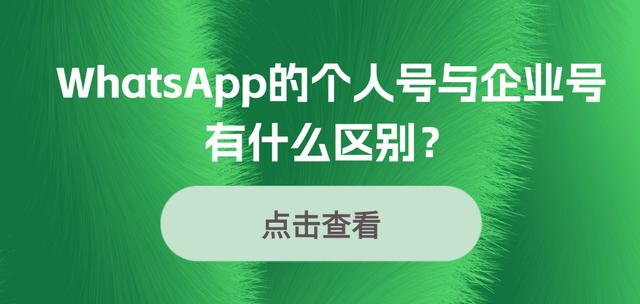 whatsapp软件介绍,whatsapp apk app