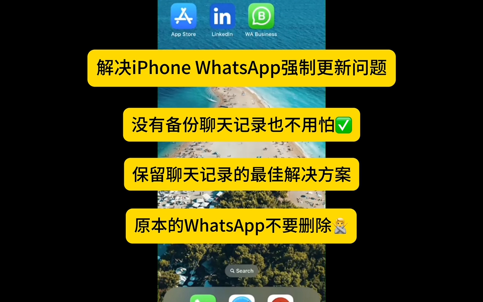 手机下载whatsapp不能用,为什么下载whatsapp不能用