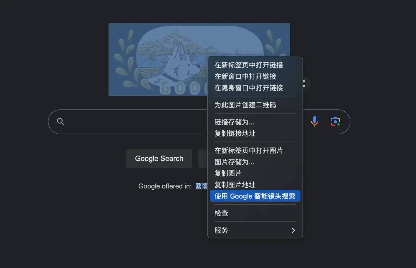 google浏览器,google浏览器下载