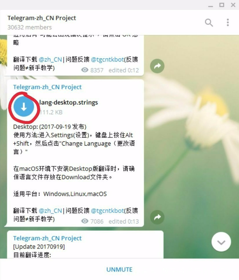 telegreat怎么加群组,电报telegraph怎么加群