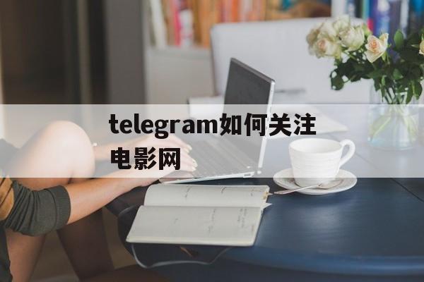 包含telegram如何关注电影网的词条